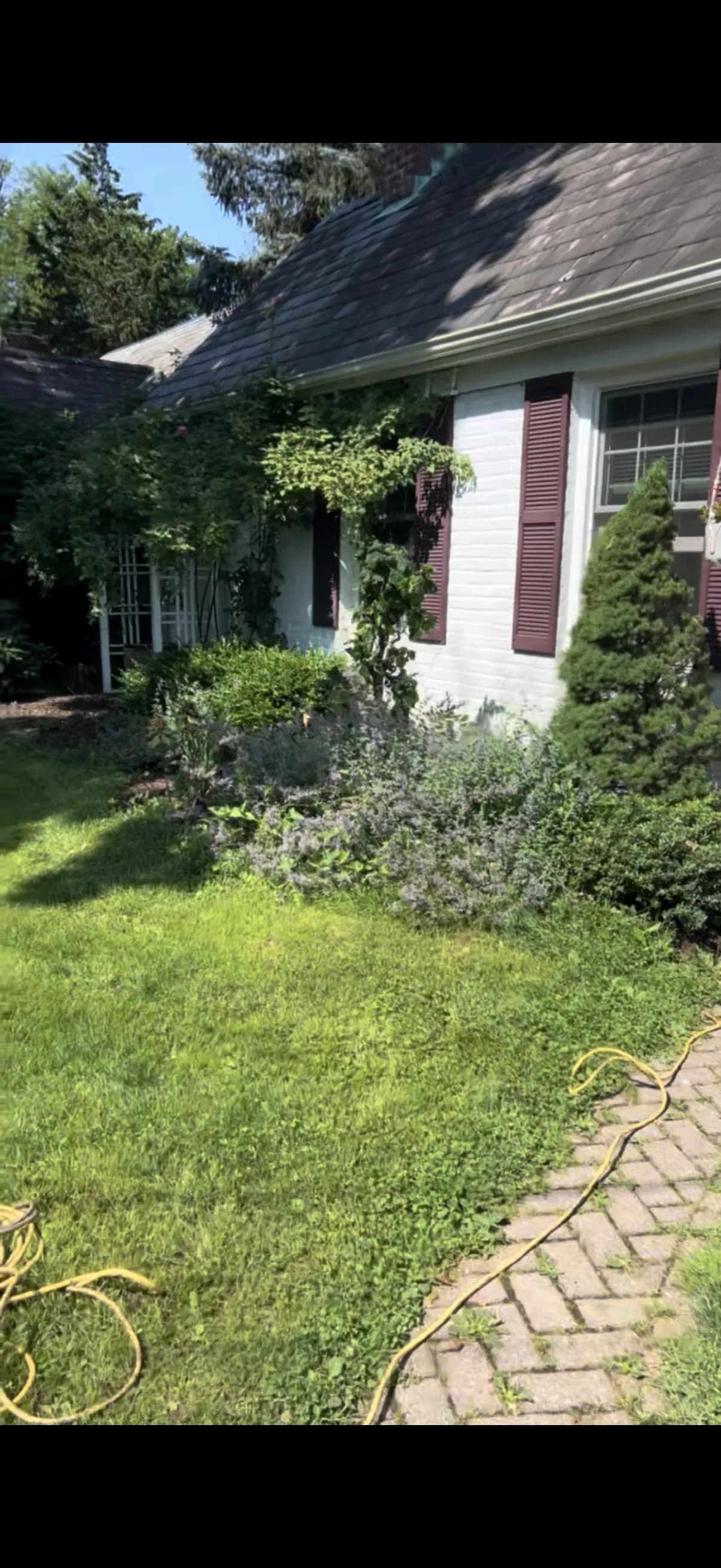 Yard makeover, before and after — before
